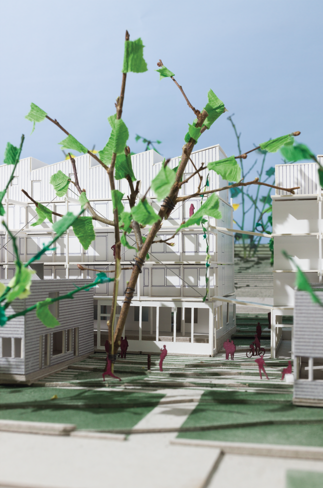 studiotrachslerhoffmann_Reinacherstrasse_4_Bild_Modell_Hof